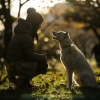 MÚSICA PARA CACHORROS、Felizlágrima、Lofi estu - Melodías De Himnos Para Mascotas