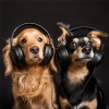 Infrasound System、Deep Pet Relaxation、Total Pet Relaxation - Playful Beats for Pets