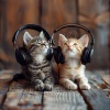 Catching Sleep、Electronic Waves、Ambient Music Collective - Cat's Meow Melody