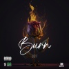 Digit - Burn (Explicit)