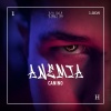 D'Alma、Canino - ANEMIA (Explicit)