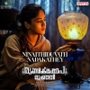 Pavan、Raazi、Mustafa Desamangalam - Ninaithiduvath Nadakathey (From 