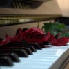 pianocafe Kumi - Waltz of Love