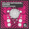 Dillon Nathaniel、Kaysin - Shake Down (Extended Mix)