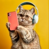 Zona de música de gatos、Música para dormir Gatos、Felicidad de la música ambiental - Canciones Serenas Para Dormir