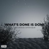 Offer Nissim、Arik Einstein - What's Done Is Done (Radio Edit)