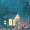 云萧诺 - 虫鸣 鸟叫 下雨 流水声 大自然的声音
