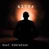 Soul Vibration《417Hz Sacral Chakra Vam》[MP3/LRC]