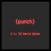 david gates、David Alexander Gates《Punch》[MP3/LRC]