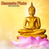 Namaste Flute、Dhyāna One、Buddha's Lounge - Traditional Flute - Healing Mantra