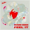 richard vission - Feel It