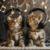 Ocean Vacation、Achieve Inner Harmony、For Cats Only - Feline Soothing Tunes
