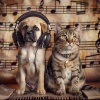 Buddha Music Sanctuary、Flow Zen Silent、Afternoon Chill Out Playlist - Calm Companion Tunes