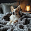 Puppy Sleep Dreams、Spa Music For Dogs、Pure Dust Noise - Calm Canine Melodies