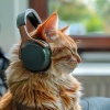 Cuentos de vibraciones、Gatos cascabeleo、Música para Gatos Curacion - Melodías Relajantes Para Las Mascotas