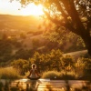 Mentes Zen、Meditación india、Música de meditación tranquila - Ecos Armoniosos De Meditación