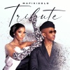 mafikizolo《Tribute》[MP3/LRC]