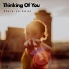 Steve Larkman - Thinking of You