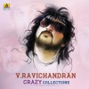 S.P.Balasubrahmanyam、hamsalekha - Navile (From 