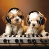 Dog Sleep Academy、Deepest Statement、Dog Lullabies《Morning Walk Music》[MP3/LRC]