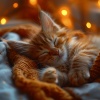 Musicoterapia relajante para gatos、La mejor musica instrumental、Música ambiental relajante - Notas Ronroneantes En La Siesta Del Mediodía