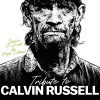 Hugh Coltman、Calvin Russell - Shadow Of Doubt (Explicit)