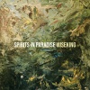 Wiseking - Spirits in Paradise (Explicit)