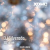 Dj Silverado - Shine