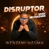 Disruptor - Wenzeni uZuma (Radio Edit)