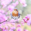 疗愈音律 - 鸟儿和风铃声