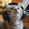 Música para dormir Gatos、Solo para gatos、La mejor musica instrumental - Armonía Suave De Gatos