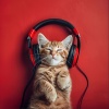 Felicidad de la música ambiental、Guarida de música de gatos、Hora de la Música del Gato《El Juego Del Ronroneo Y Las Patas》[MP3/LRC]