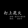 童乐乐 - 打上花火