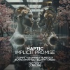Haptic、Copini - Descent to Waking (Copini Remix)