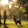 Cafe Lofi、Hip Hop Lo Fi、Radio de música para perros - Ritmos Juguetones De Perros