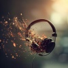 The Calm Music Network、The Chillout Players、Music Tracks - Echoes of Silence