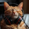 MÚSICA PARA CACHORROS、Ritmos de hip-hop de Lofi、Juegos Lofi - Vibraciones Melódicas De Animales