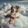 Sonidos Perros Amor、Música relajante para cachorros、Sueño de cachorro - Ladridos Se Apaciguan En Sonidos Serenos