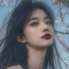 金艺 - 一路走来真的不容易 (Remix版)