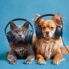 Pets Total Relax、Basic Happiness、Blissful Pets - Pets' Gentle Whispers