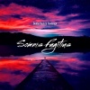 Bobby Rock、fandango - Somnis Fugitius