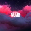 Harrykahanhai - Numb (Explicit)