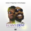 Asalexys、Pappy Kojo、Toomuchguyguy - I Can't Deny (feat. Pappy Kojo & Toomuchguyguy)(Remix|Explicit)