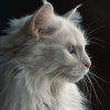 Meteoro Space、Stop for a Moment、Heaven on Earth Instrumental Universe - Silken Sounds for Slumbering Cats
