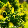 疗愈音律 - 洗去一天的疲惫