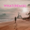 Rnbstylerz - WHAT (Remix)