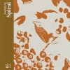 Jazzberriez、MZERA、DAISI - Spiral