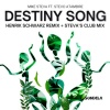 mike steva、Henrik Schwarz、Stevo Atambire《Destiny Song (Henrik Schwarz Remix)》[MP3/LRC]