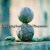 Binaural Beats Brain Waves Isochronic Tones Brain Wave Entrainment - Soothing Symbols Of Sanctity
