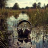 Cat Sleeping Music Project、Sacred Music Collectors、Them Drunkin Bonzes - Deep Harmonic Voyage